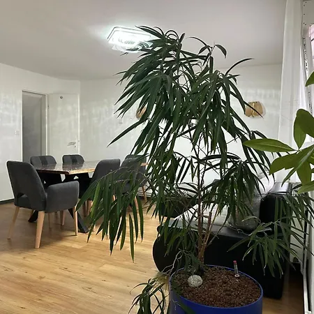 Formidable Apartamento